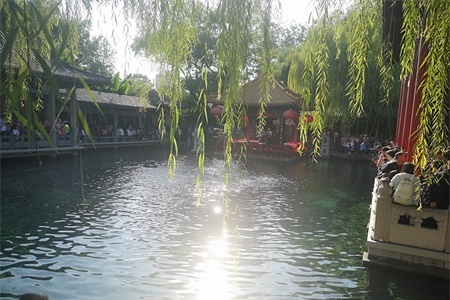 What flowers are suitable for growing in Jinan? what are city flowers and city trees?