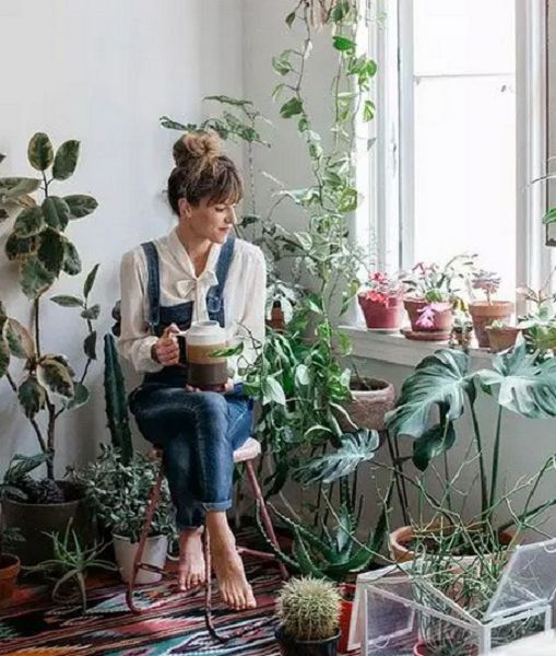 How to make beautiful and delicate potted flowers