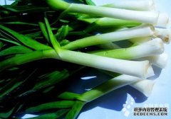 The price of garlic in Shandong Binzhou market is rising. 