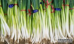 Green onion emerges as a new force, 