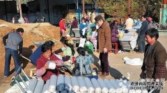 Farmers in Ningqiang County, Shaanxi Province are busy with Lentinus edodes production (Picture)