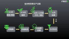 Case study: how Jiapei kiwifruit becomes 10 billion products through stable production