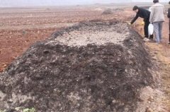 Organic fertilizer production method: weeds make organic fertilizer, what are the benefits of weeds making organic fertilizer?