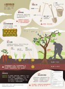 Soil fertility testing: how to rationalize fertilization? Analysis report on soil Fertility Grade