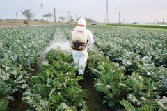 Tracing back to the Source of IPM crop production Management Technology to solve the causes of Plant Diseases and insect pests