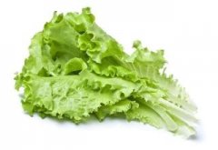 American and Roman lettuce: American and Canadian romaine lettuce causes disease, the Food and Drug Administration urgently issues import controls