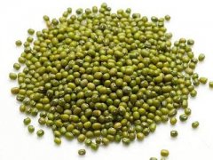 How to store mung beans without sprouting and how to store mung beans without worms