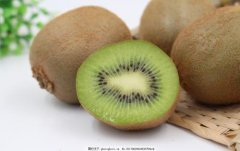 Is kiwifruit the same as kiwifruit? is it a fruit? What's the difference between kiwifruit and kiwifruit?