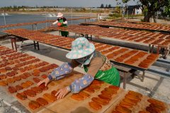 What is a mullet? What is a mullet roe? Taiwan mullet seed jumps to national competition