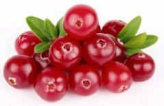 Does it have an effect on mold when cranberries eat mold? Is it useful for gynecological inflammation and cervicitis?