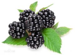 Is blackberry fruit mulberry? How to eat blackberries and mulberries