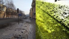 Russian Green Snow News: is the snow in Russia green? It is the consequence of environmental pollution.