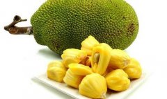 Which is more nutritious, jackfruit or durian? Which is good to eat, durian or jackfruit? pineapple or durian?