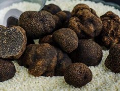 How much is the price of truffles per jin? Matters needing attention in truffle collection the difference between truffles and truffles