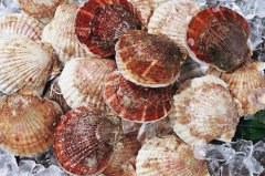 Tariffs on agricultural products, sea scallop, yam and other imported agricultural and fishery products, tariff halving assessment