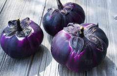 Introduction of new eggplant varieties Barbarella, Barbarella eggplant planting technology care