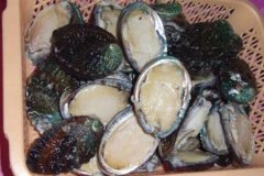 To protect the industrial producing area of abalone in China, it is forbidden to import Chinese fresh abalone and improve the sampling rate.