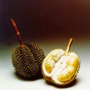 Thailand gold button durian introduction, Thailand gold button durian weight characteristics what are the characteristics