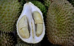 What kind of durian is black pearl durian? What's the difference in the taste of black pearl durian