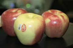 High-quality apple variety Shengfang Apple, what is the taste of Shengfang Apple? where is it originally produced?