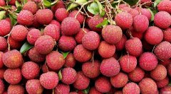 The introduction of the main variety of litchi, Yuhebao / black leaf / Nuomi, how to preserve the time on the market of litchi