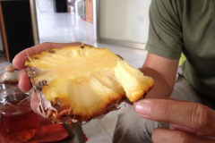 Taiwan pineapple variety Sakya pineapple, how sweet is the taste of pineapple that can be peeled by hand