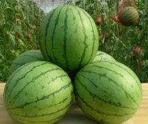 How about the variety of small Kirin watermelon? What is the difference between the flesh color of small Kirin watermelon and other watermelons