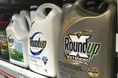 The California couple accused Roundup of causing cancer harm by the US court ordered Monsanto to pay compensation