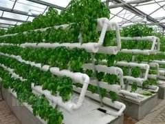 The latest news on the development trend of intelligent agriculture: who will farm? The application prospect of intelligent agriculture tells you