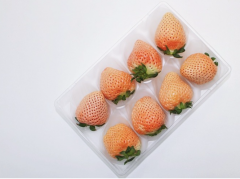 Introduction of Japanese strawberry varieties, characteristics of strawberry varieties of light snow / Ganwang / red cheek / Tochigi girl