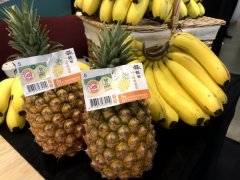 Promote agricultural block chain technology and industrial innovation to help Taiwan bananas export to Japan