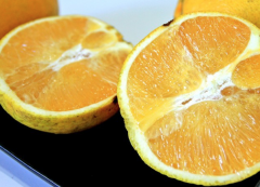 What is called navel orange? Where is the origin and origin of navel orange? how long does it take to grow belly navel orange?