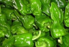 What are the nutritional value and edible efficacy of green pepper? Is there a male or female in green pepper? how to tell?