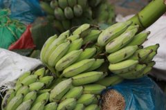 What kinds of plantains do you have? What are the characteristics of red banana / purple banana / Jinlian plantain in Diyong? what are the differences between flowers?