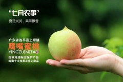 Lianping Shangping eagle mouth peach began to open in July to navigate to 10 yuan per jin.