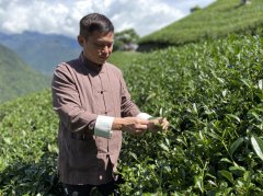 The competition of Gaoshan Tea Wang Chun Tea has won numerous prizes and won numerous high-profile winners.